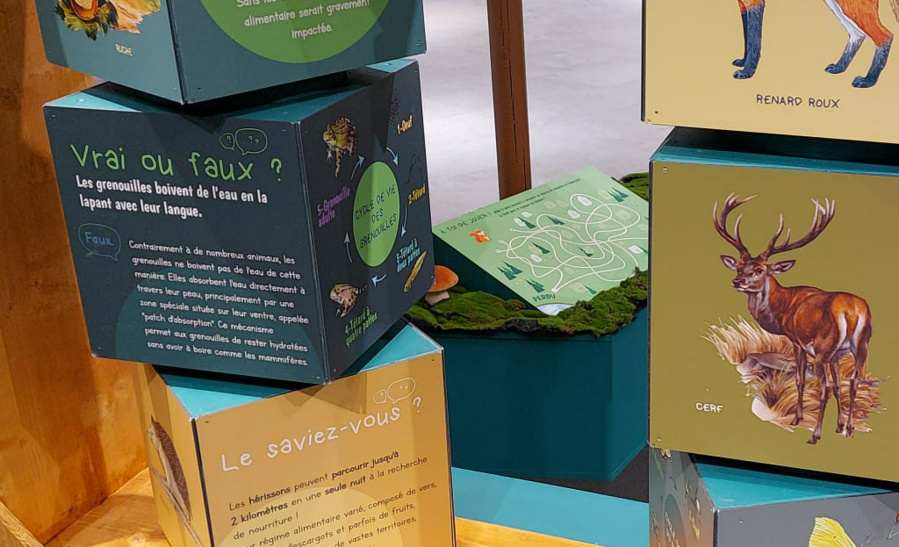 jeux botarium AuShopping