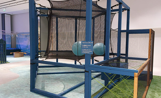 grimpe saute et joue à l'écureuil botarium AuShopping